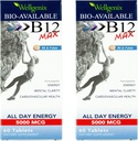 Wellgenix Bio-Available Sublingvual B12 Max - Formuleeritud suure imendumise jaoks - Toitaineline multivitamiin B12, B6, Folaat - Kiire lahustamine (60 Ct) 2 Pack