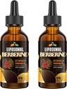 Berberine Supplement koos Ceylon Cinnamon 3000mg - kõrge biosaadavus Liposomal Berberine Vedelad tilgad, Berberine HCL Complex Plus Turmeric Supplements, AMPK Activator, Sobib naistele, Mehed-120ml