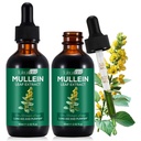 Mullein Leaf Extract kopsudele, Mullein tilgad kopsudele, tugi Lung, hingamisfunktsioon tervislikuks hingamiseks, kopsufunktsiooni parandamine, looduslik ja ohutu täiendus (2 PC)