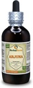Arjuna (Terminalia Arjuna) Tinktuur, Orgaaniline Kuivatatud Koore Vedel Ekstrakt (Brand name: HerbalTerra, Proudly made in USA) 4 fl.oz (120 ml)