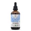 Astragalus USDA orgaaniline alkoholivaba ekstrakt | toidulisand, suure tugevusega tinktuur | looduslik sertifitseeritud orgaaniline astragalus (Astragalus membranaceus) Kuivatatud juur (4 oz)