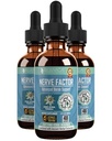 Rejuvica Health NerveFactor - Advanced Nerve Support Supplement - Vedelik kohaletoimetamine parema imendumise jaoks - atsetüül-L-karnitiin, alfa-lipohape, vitamiin B12, foolhape, valge pajukoor ja veel!