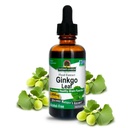Looduse vastus Alkoholivaba Ginkgo Leht 2000mg 2oz Väljavõte | Stimuleerib Mälu, Mood & Kontsentratsioon | Gluteenivaba, Kosher Certified & No säilitusained | Ühekordne arv
