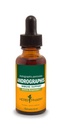Herb Pharm Andrographis Vedelikekstrakt immuunsüsteemi toetuseks, 1 Fl Oz (1. pakend) (DANDRO01)
