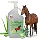 Doc Hoagi Aloe Vera+Agave Premium Horse Supplement – Made in USA – Original Udder Balm – Natural Gastric Support for Horses & Large Animals – Stress Relief & Ulcer Care, 128 Fl Oz.