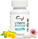 Lümfisüsteemi tugilisa - Lümfaatilise drenaaži lisa koos Echinacea purourea ekstraktiga, Dandelion Extract 60 Count