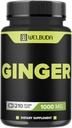 1000mg Ingverilisandid Kapslid Berberine HCl, Elderberry, Echinacea & More - 11in1 Toeta seedimist, liigeste tervist, immuunsüsteemi ja südame tervist - 210 ingveri pillid