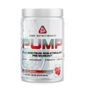 Põhiline Toitumine Pump Täispectrum Mitte-Stimulantne Pre-Workout, N03T Nitraat, Peak02, Alpha GPC, maksimaalse Pump, Tugevus ja Performance 20 Servings (Cherry Burst)