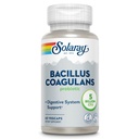SOLARAY Bacillus Coagulans Probiootikum - 5 miljardit elusaid mikroorganisme - seedimine ja soolestiku tervise tugi - täis keha tervise probiootikumid inuliiniga Prebiootiline kiud, 60-päevane garantii, 30 Serv, 60 VegCaps