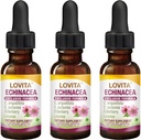Lovita Echinacea Extract Vedelik | 1 FL OZ | 350 mg per Serving | Kontsentreeritud ürditinktuur | Vegan | Alkoholivaba | koos leedrimarja ja lagritsa ekstraktiga (3. pakk)