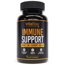 Immuunsüsteemi tugivitamiinid - Elderberry koos tsink, vitamiin C ja küüslauk täiskasvanutele - Sambucus Black Elderberry kapslid ja Echinacea Immunity Renewal Complex