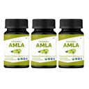 Amla 120 tabletti - USDA orgaaniline India karusmarjas - rikkalik C-vitamiini ja toetab immuunsüsteemi tervist * - pakend 3