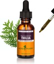 Herb Pharm Thuja Branchlet Vedelik Ekstrakt - 1 Ounce (DTHUJA01)