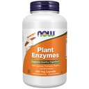 NOW Foods Supplements, Plant Enzymes koos laktaasi, proteaasi, Papain ja Bromelain, 240 Veg kapslid