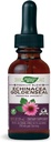 Nature's Way Premium Formula Echinacea-Goldenseal, 250 mg portsjoni kohta, 99,9% alkoholivaba, 1,01 Oz.