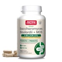 Jarrow Formulas Saccharomyces Boulardii + MOS - 5 miljardit organismi ühe serveerimise kohta - 180 hilinenud vabastamist Veggie kapslid - probiootikum + prebiootikum - soolestiku tugi - kuni 180 serveerimist