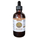 Ginkgo Liquid Extract, Organic Ginkgo (Ginkgo Biloba) Tinktuur Supplement 4 oz