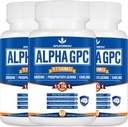 15-in-1 Alpha GPC täiendus koos fosfatidüülseriini, uridiini, L-Theanine, Lion's Mane Seene, 180 kapslit