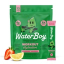 Waterboy Treening Hüdratsioon | 2,960mg Suhkruvaba elektrolüüt Pulber Pakendid | L-Glutamiin + Vitamiinid | Ei Suhkrut, Kõik Looduslikud, Gluteenivaba | 15 Joogipulgasegud (Maasikas Lemonaadi)