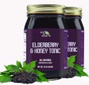 Green Jay Gourmet Elderberry Tonic - All Natural Elderberry Syrup - Elderberry Immune Support for Kids & Adults - Powerful Elderberry & Honey Blend - Sambucus Elderberry Syrup - 2 x 22 Ounces