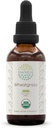 HerbEra Wheatgrass B60 USDA orgaaniline tinktuur | Alkoholivaba ekstrakt, suure tugevusega taimetilgad, vedel lisand | sertifitseeritud orgaaniline nisuhein (Triticum aestivum) Kuivatatud leht (2 oz)