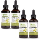 Maxx Herb Olive Leaf Extract – Max Tugevus Oleuropein Vedel Absorbs Parem kui kapslid või tee, immuunsuse toetamine, südame tervis ja hooajaline heaolu - 4 pudelit, 4 Oz Iga (240 Servings)