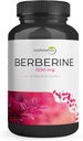 Berberine HCl 1200mg – Veresuhkru, insuliini ja kehakaalu juhtimise kõrge potentsilisand – mitte-GMO, gluteenivaba, vegankapslid – südame ja ainevahetuse tugi, valmistatud USAs – 60 Count