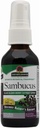 Loodused Vastused Sambucus Spray