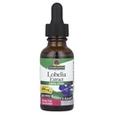 Looduse vastus Lobelia Herb Lobelia Inflata - looduslik taimsete täiendada - gluteeni alkoholivaba - ideaalne immuunsus üldise tervise heaolu? 690mcg (1 FL Oz)