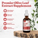 Rejuvica Active Olive Leaf Extract | Looduslikult esinevad oleuropeiini vedelikutilgad immuunsuse ja südame toetamiseks | Kiire imendumine, vegan, alkoholivaba | 6 fl oz