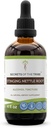 Saladused Tribe Stinging Nettle Juuralkoholi ekstrakt, kõrge potentsi Taimne tilgad, Tinktuur valmistatud Stinging Nettle (Urtica dioica) Kuivatatud Juur 4 oz
