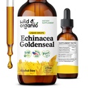 Wild & Organic Echinacea Goldenseal Vedel tilgad - Immune Support Supplement w / Kuldne Echinacea juure ekstrakt - Vegan, suhkur ja alkoholivaba tinktuur - 2 fl oz