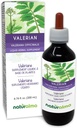 Naturalma Valerian (Valariana officinalis) Juur Alkoholivaba tinktuur - 6,76 fl oz Vedel ekstrakt tilkades - Taimne täiendus - Vegan