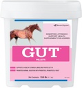 GutTM Pellets | Tervislik soolestiku probiootikumid hobustele | Hobuste prebiootikum ja probiootiline pulber | Hobuste mao täiendus | 13,5 naela