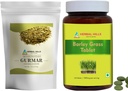 HERBAL HILLS Gurmar Tea Pulber ja odrarohu tabletid Pakendis 2 Combo