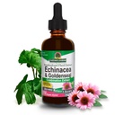 Looduse Vastus Echinacea Ja Goldenseal Orgaanilise Alkoholiga, 2-Fluid Ounces