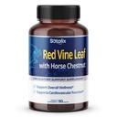 Red Vine Leaf and Horse Chestnut, 50% Flavonoidid jalaveini toetuseks, nahk, südame heaolu - valmistatud USA-s