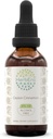 Ceyloni kaneel B60 Alkoholivaba taimeekstrakti tinktuur, kontsentreeritud vedelik tilgad looduslik kaneel (Cinnamomum Verum) (2 fl oz)