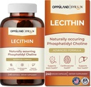Letsitiin-240 Softgels - toetab aju tervist