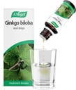 A. Vogel Ginkgo Biloba tilgad