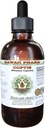 Coptis Alkoholivaba vedelik ekstrakt, Coptis (Rhizoma Coptidis) Kuivatatud juur Glycerite Hawaii Pharm Looduslik Taimne täiendus 2 oz