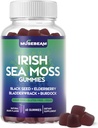 Iiri meri sammal-kummied - musta seemnega Elderberry Bladderwrack Burdock Kurkum Omega-3 vitamiinid C D3 Tsink - Seamoss toidulisandid täiskasvanutele Naised Mehed - suhkruvaba gluteenivaba vegan