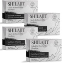 30 000 MG Shilajit tabletid, 100% Shilajit Pure, Himalayan Organic, Shilajit meestele ja naistele rikas Fulvic Acid & 85+ Trace Minerals, Shilajit Supplement for Energy & Immune System, 240 Count