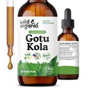 Wild & Organic Gotu Kola Herb Tinktuura - Aju tugi - Gotu Kola Vedelik Ekstraheerimistilgad - Vegan, Suhkur & Alkoholivaba Centella Asiatica Supplement - 2 fl oz