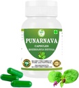 Punarnava kapslid (Boerhaavia Diffusa) 500mg – 60 Veg kapslid | Taimse heaolu täiendus looduslikule neerule ja maksale | Taimepõhine detox & puhastusvalem | Pakend 1