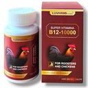 B-12 200 tabletti lindude kukkedele