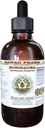 Hawaii Pharm Echinacea Alkoholivaba Vedelik ekstrakt, Echinacea (Echinacea Purpurea) Kuivatatud Juur Glycerite Looduslik Taimne täiendus 2 oz