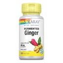 SOLARAY Fermented Ginger Juur 400mg | 100 VegCaps