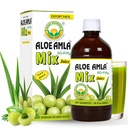 Basic Ayurveda Gooseberry + Aloe Vera mahl - 16.23 Fl Oz (480 ml) | 50-Viiskümmend taimesegu immuunsuse, seedimise ja naha tervise jaoks | Amla & Aloe Blend | 100% looduslik | Daily Ayurveda Toonik