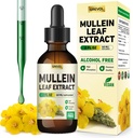 Mulleini tilgad kopsudele Täiendus: Orgaaniline Mullein Leht 30: 1 Väljavõte Tinktuur klorofülliga - Taimne täiendus Tugi Kopsupuhastus & hingamisfunktsioon - Mitte-GMO, Vegan - 2 Fl Oz